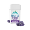 Buy Organic Sour Blueberry Indica Gummies