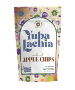 Buy Natural Apple Chips